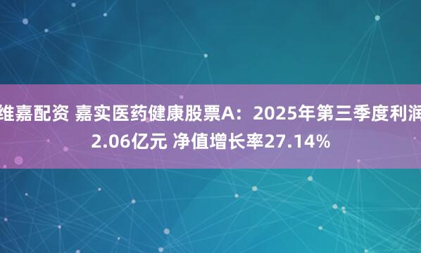 维嘉配资 嘉实医药健康股票A：2025年第三季度利润2.06亿元 净值增长率27.14%