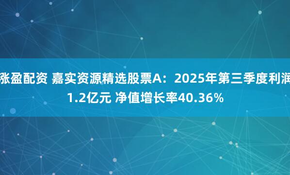 涨盈配资 嘉实资源精选股票A：2025年第三季度利润1.2亿元 净值增长率40.36%