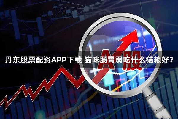 丹东股票配资APP下载 猫咪肠胃弱吃什么猫粮好？