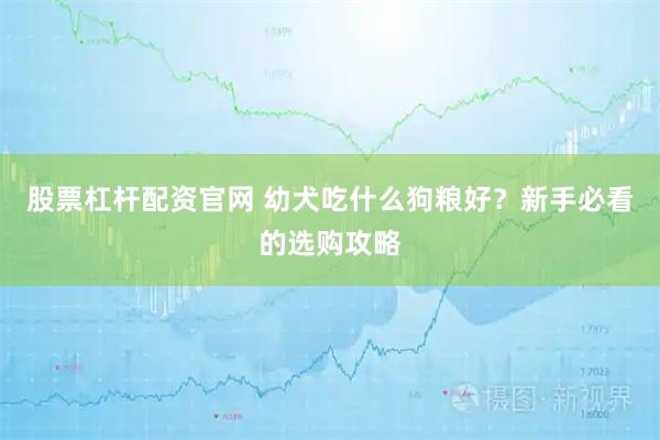 股票杠杆配资官网 幼犬吃什么狗粮好？新手必看的选购攻略